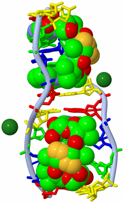 Image Biological Unit 1