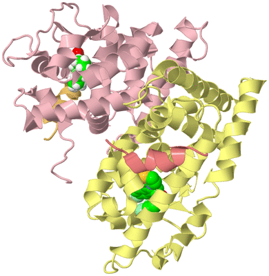 Image Biological Unit 2