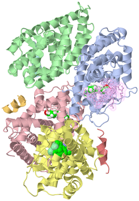 Image Biological Unit 3