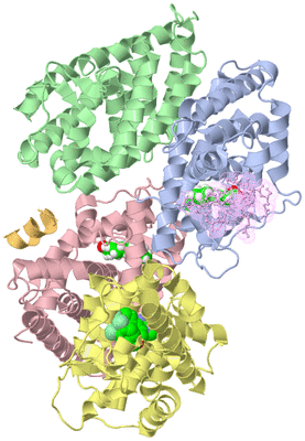 Image Biological Unit 4