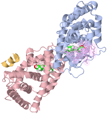 Image Biological Unit 5