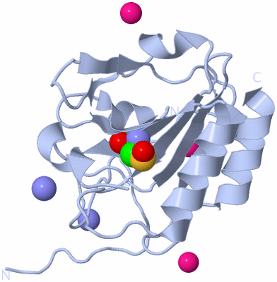 Image Biological Unit 1