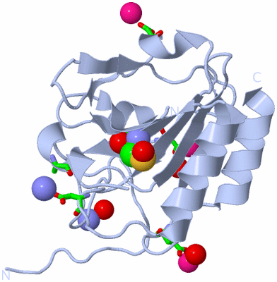 Image Biol. Unit 1 - sites