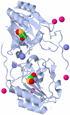 Image Biological Unit 2