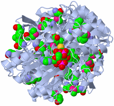 Image Biological Unit 1