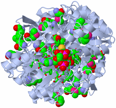 Image Biol. Unit 1 - sites