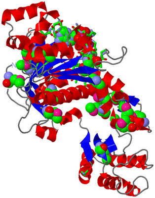 Image Asym. Unit - sites