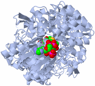 Image Biological Unit 1