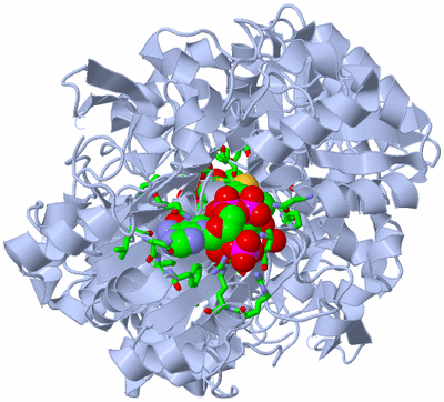 Image Biol. Unit 1 - sites