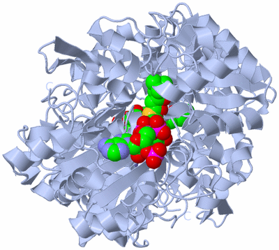 Image Biological Unit 1