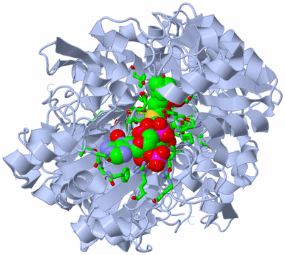 Image Biol. Unit 1 - sites