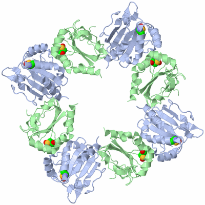 Image Biological Unit 1