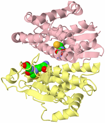 Image Biological Unit 2