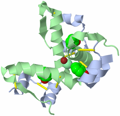 Image Biological Unit 1