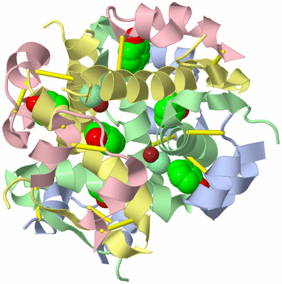 Image Biological Unit 3