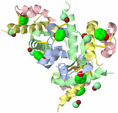 Image Biological Unit 4