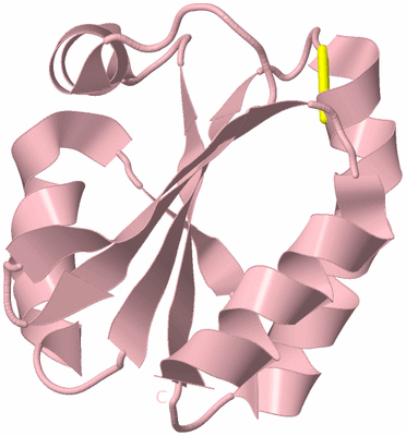 Image Biological Unit 3