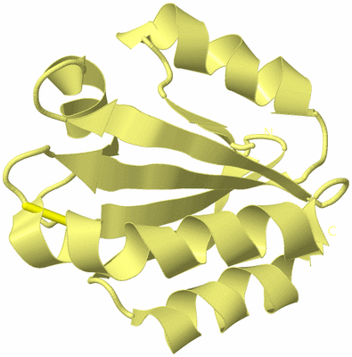 Image Biological Unit 4