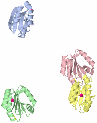 Image Asymmetric Unit