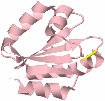 Image Biological Unit 3