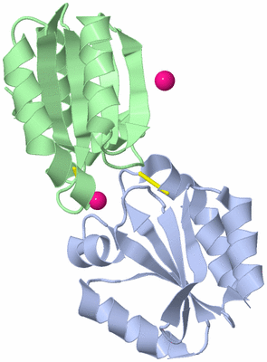 Image Biological Unit 5