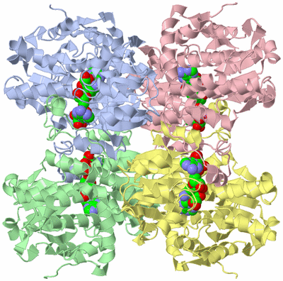 Image Asym./Biol. Unit