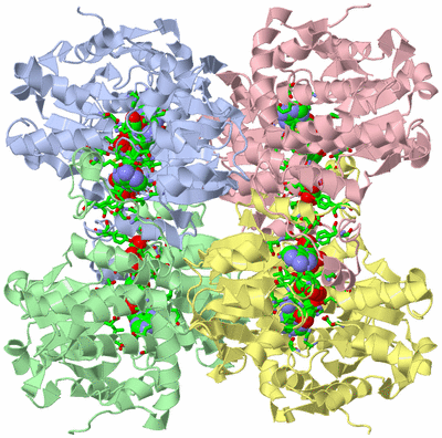 Image Asym./Biol. Unit - sites