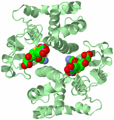 Image Biological Unit 2