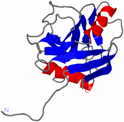 Image NMR Structure - model 1