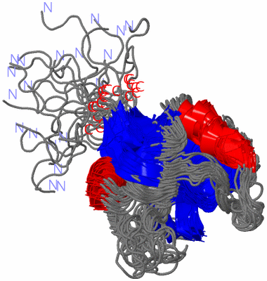 Image NMR Structure - all models