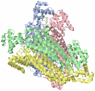 Image Asym./Biol. Unit