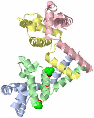 Image Asym./Biol. Unit