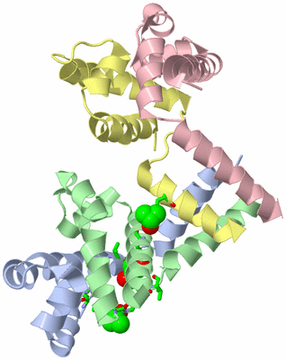 Image Asym./Biol. Unit - sites