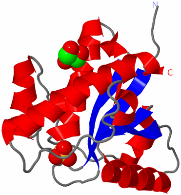 Image Asym./Biol. Unit