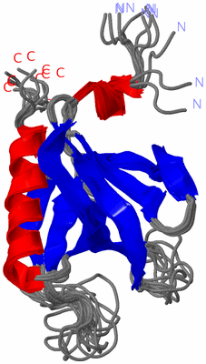 Image NMR Structure - all models