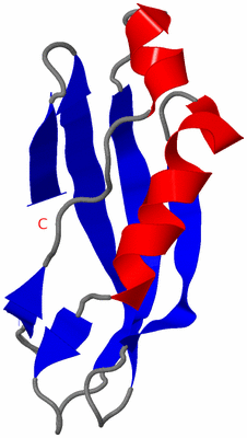 Image NMR Structure - model 1