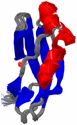 Image NMR Structure - all models