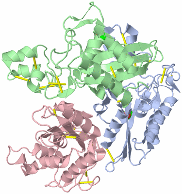 Image Asymmetric Unit
