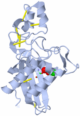 Image Biol. Unit 1 - sites
