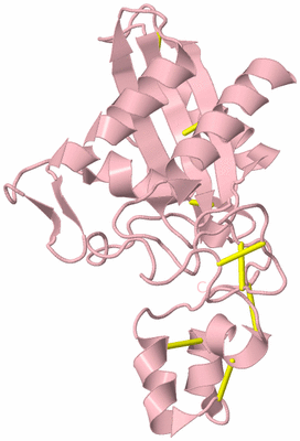 Image Biological Unit 3