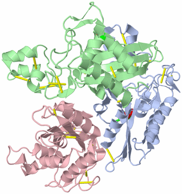 Image Asym. Unit - sites