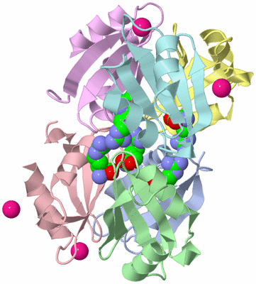 Image Asym./Biol. Unit