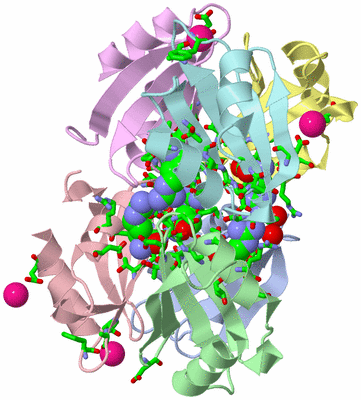 Image Asym./Biol. Unit - sites