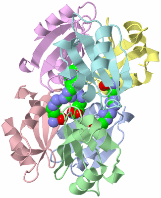 Image Asym./Biol. Unit