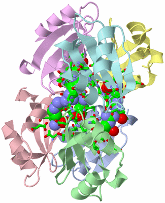 Image Asym./Biol. Unit - sites