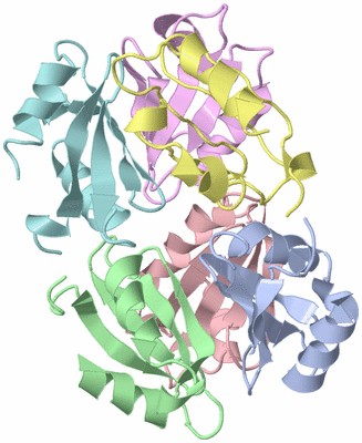 Image Asym./Biol. Unit