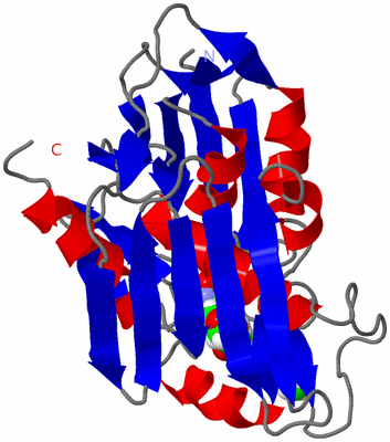 Image NMR Structure - model 1