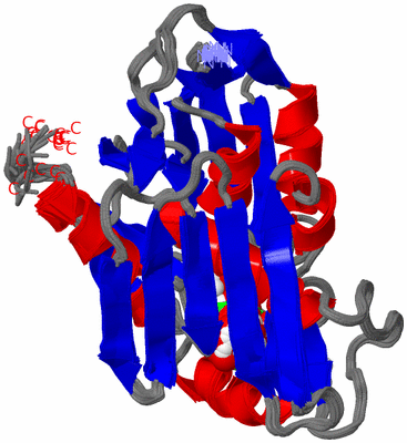 Image NMR Structure - all models