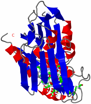 Image NMR Structure - model 1, sites