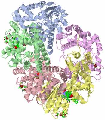 Image Biol. Unit 1 - sites